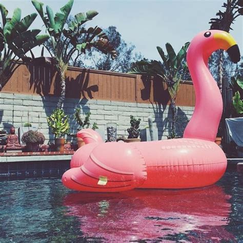 Giant Flamingo Pool Float Flamingo Pool Float Flamingo Pool Parties Giant Flamingo Pool Float