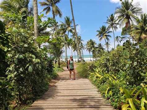 Dicas De Itacar Bahia Viagens E Outras Hist Rias