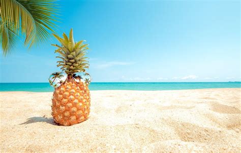 Pineapple Beach Wallpapers - Top Free Pineapple Beach Backgrounds ...