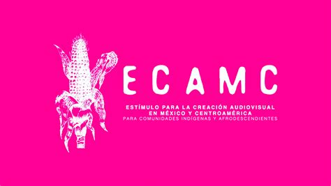 Apoyan largometrajes de tres oaxaqueños con recursos del ECAMC NVI