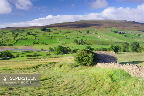 Cut Grass In Meadow And Stone Barn Near River Drystone Walls On