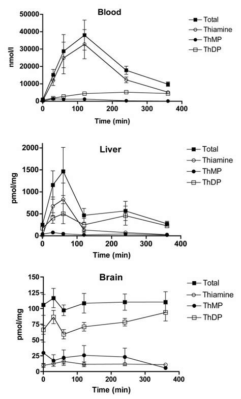 Time Dependent Tissue Content Of Thiamine Derivatives After A Single