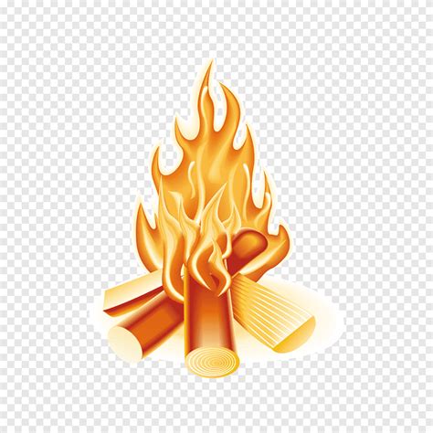 Combustion Campfire Camping Flame Food Orange Png PNGEgg