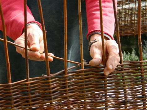 Vannerie Et Osier Invitez L Osier Dans Votre Jardin