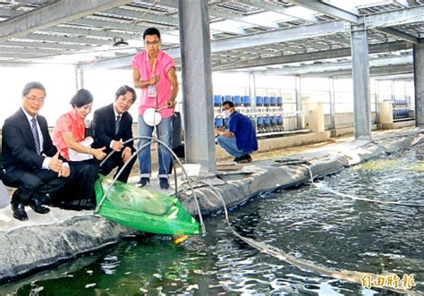 〈南部〉全國最大漁電共生養殖場 學甲筏子頭啟用 再生能源資訊網