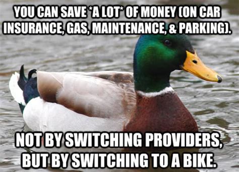 8 Car Insurance The 50 Funniest Good Advice Duck Memes Complex