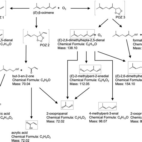 Simplified mechanism of the ozonolysis of E β ocimene illustrating