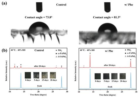 Natural Amino Acid Enables Scalable Fabrication Of Highperformance