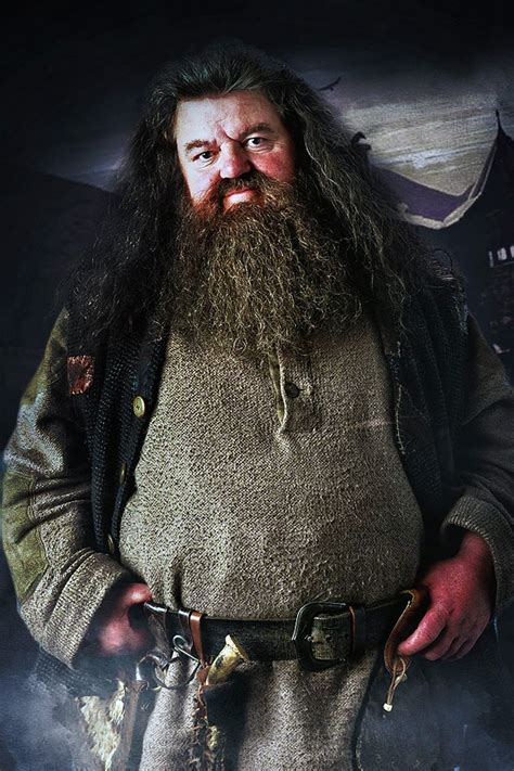 86 best images about Harry Potter - Hagrid on Pinterest | Posts ...