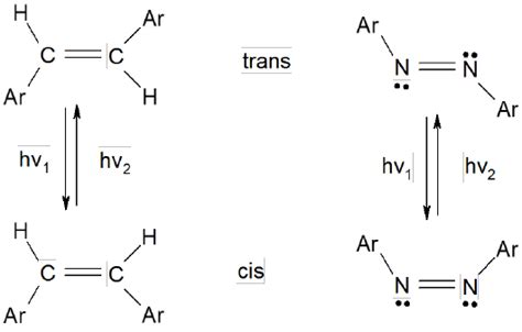 Reverse Trans Cis Isomerization Is Involved By The Light Absorption