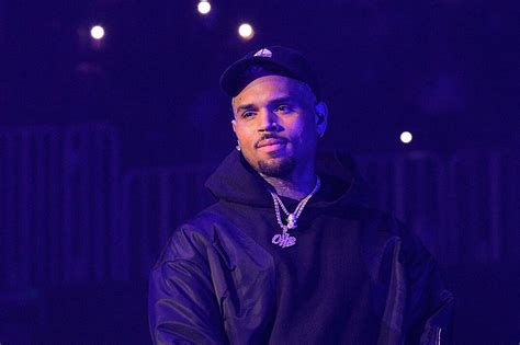 Chris Brown Roasts Fan Who Commented About His Children's Mothers