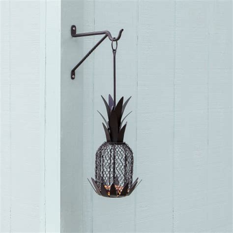 Pineapple Bird Feeder