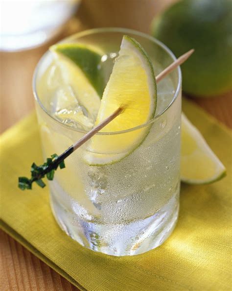 Gin Tonic Rezept Eat Smarter