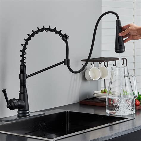 Alenartwater Black Single Handle Kitchen Sink Faucet Wayfair