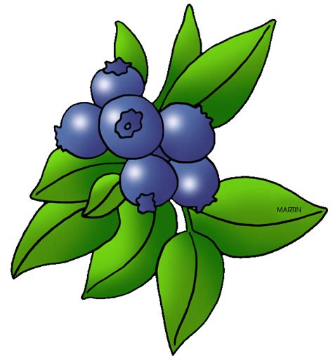 Berry Bush Clip Art