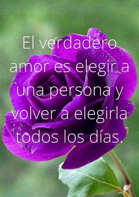 10 Frases De Amor Para Regalar Flores Frases Mias