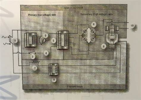 Main X Ray Circuit Labeled Diagram Quizlet