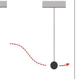 One oscillation of the spring pendulum corresponds to half an ...