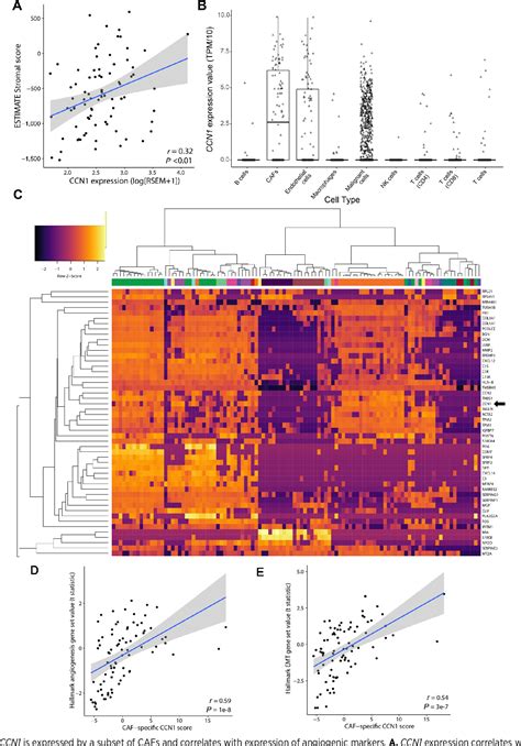 Figure From Cancer Associated Fibroblastspecific Expression Of The