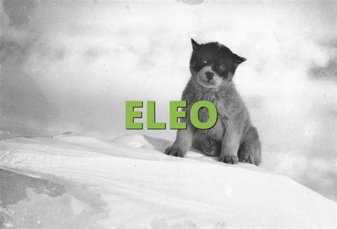 ELEO Meaning » Slang.org