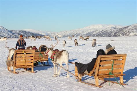 Reindeer Sledding 15 Min Feeding And Cultural Show