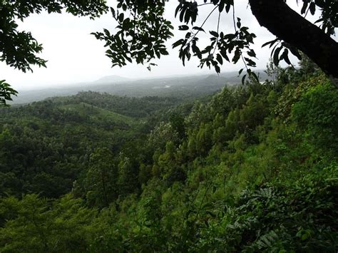 Banasurasagar Mountain Banasurasagar Dam Eco Tourism Programmes In