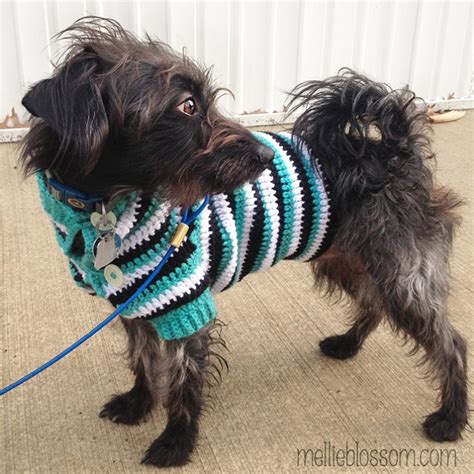 Crochet Dog Sweater - mellie blossom