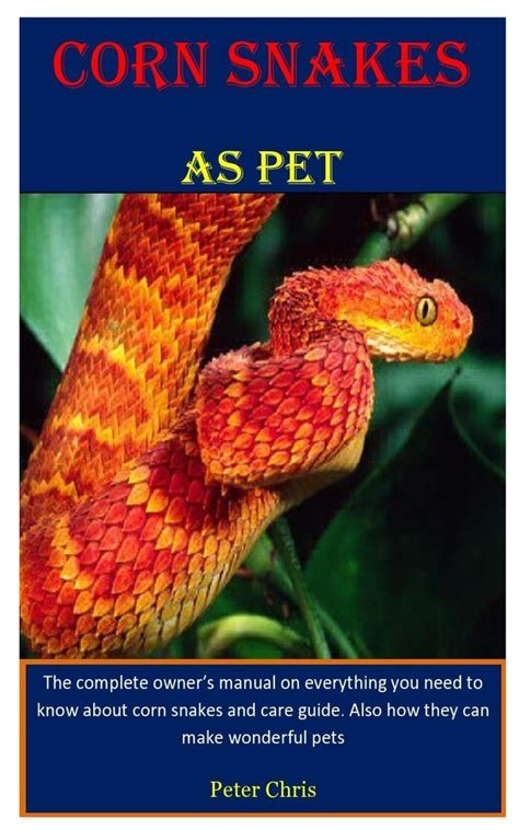 Corn Snakes As Pet The Complete Owner S Manual On Everything You Need