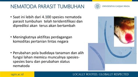 Serba Terungkap Nematoda Parasit Tumbuhan