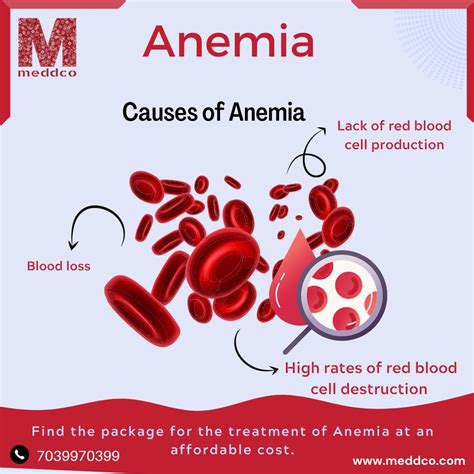 review  anemia blood disorder