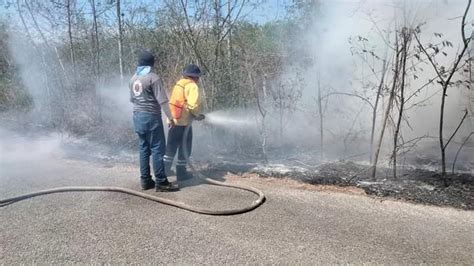 Exigen No Quemar Basura Para Evitar Incendios Yucatán Independiente