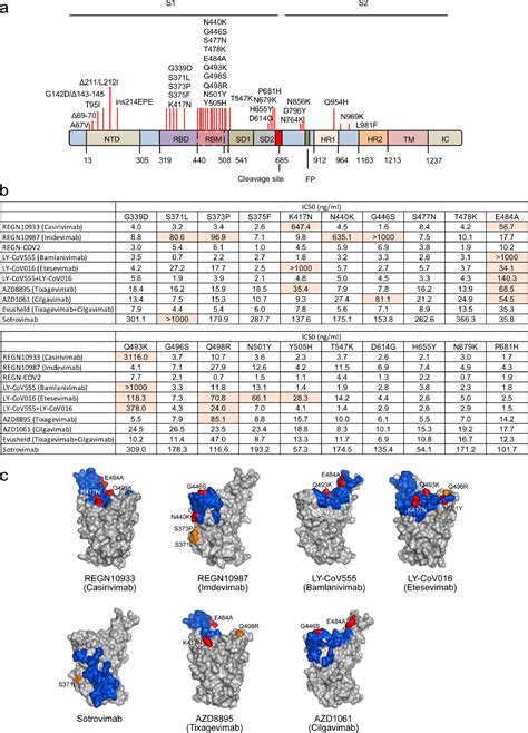 Increased Resistance Of SARS CoV 2 Omicron Variant To Neutralization By