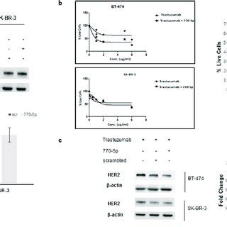 Lower Expression Of Mir P Is Associated With Tumor Samples