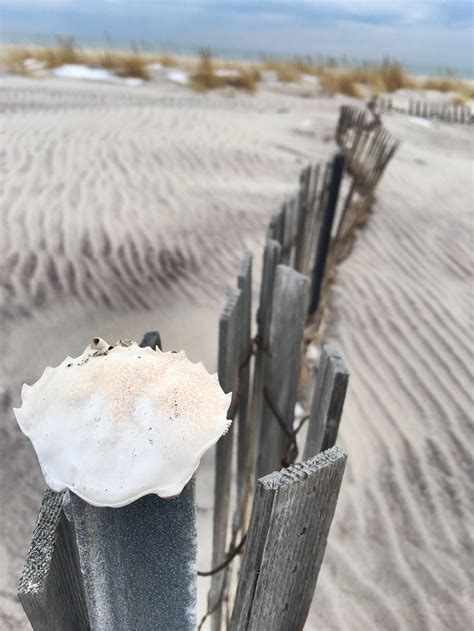 Robert Moses and the Creation of Jones Beach State Park — NTVLI
