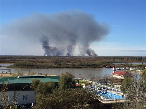 Incendios En El Delta Del Paraná Los Operativos Requieren 22 Millones