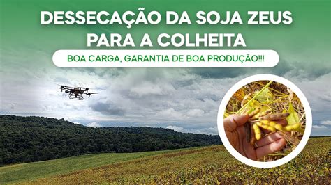 Desseca O Da Soja Zeus Para A Colheita Drone Boa Carga Garantia