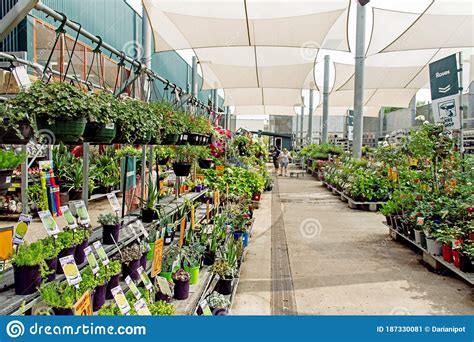 Bunnings Plants Return - Garden Plant