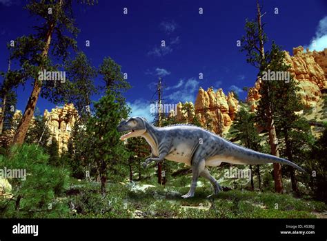 Ceratosaurus Hi Res Stock Photography And Images Alamy