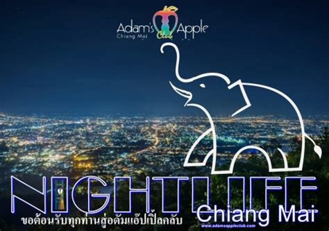 Chiang Mai Nightlife Show Bar And Nightclub Adams Apple Club