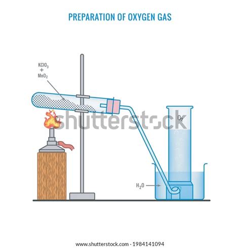 Oxygen Gas Preparation Preparation Oxygen Gas Stock Vector Royalty Free 1984141094