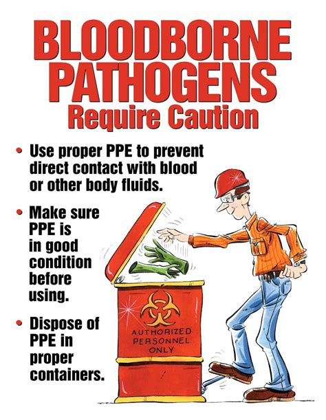 Osha Bloodborne Pathogens Quiz And Answers Bloodborne Pathog