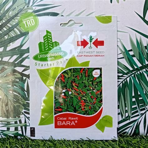 Paket 50 Seeds Biji BARA Ori Biji Benih Cili Api Padi F1 Hybrid Hot