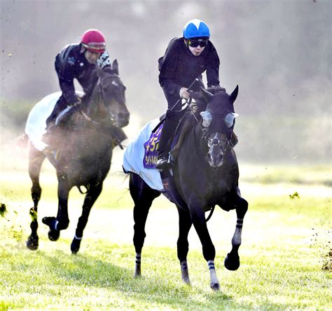 【凱旋門賞】タイトルホルダーが横山和生騎手を背に最終追い切り 「競馬に向けて良いイメージ持てた」 Umatoku 馬トク