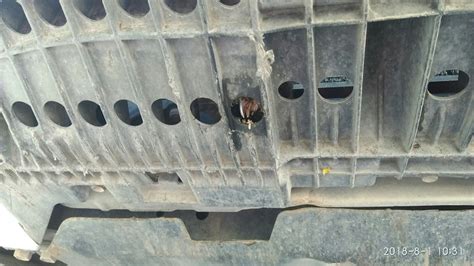 Амортизатор багажника — Volkswagen Polo Hatchback Mk5, 1,4 л, 2012 года ...