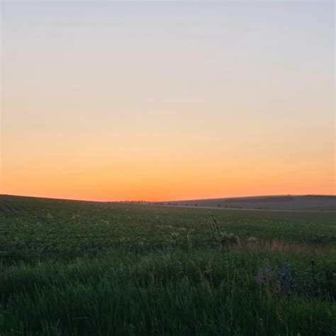 Premium Photo | A field of grass and a sunset