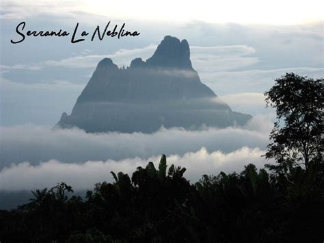 Biot S Bioturismo Vzla Serran A La Neblina Conociendo Nuestros