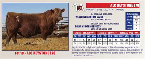 National Beef Wire Lot 10 Sells On DVAuction For 28 000 At The