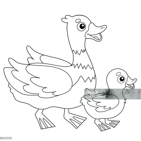 mewarnai halaman garis besar bebek kartun  bebek hewan ternak