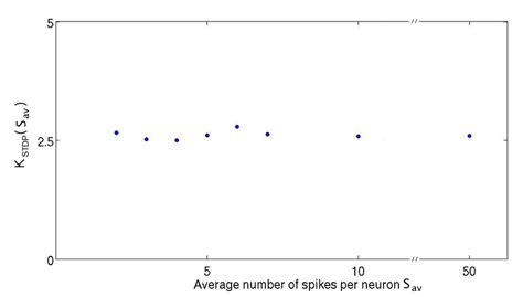 10 Self Organized Connectivity K Stdp For Different Numbers Of Average