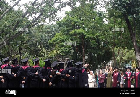 college graduation university graduation stock photo alamy